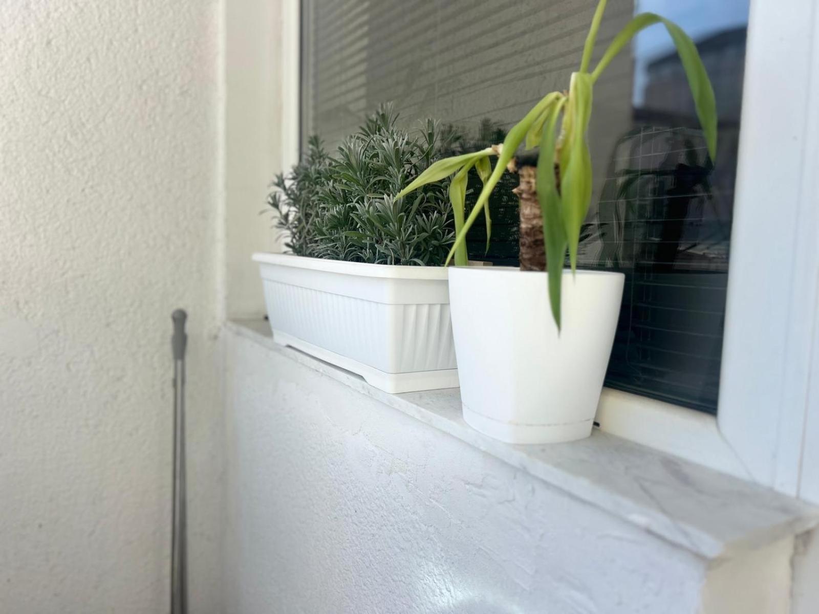 Cinema Vardar Apartman Szkopje